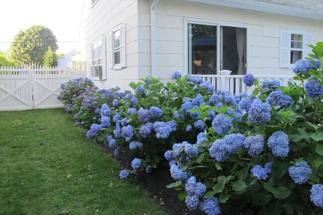 Photo - 44 Cooper St