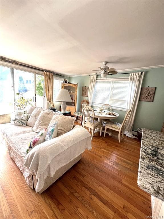 Photo - 129 Flamingo St