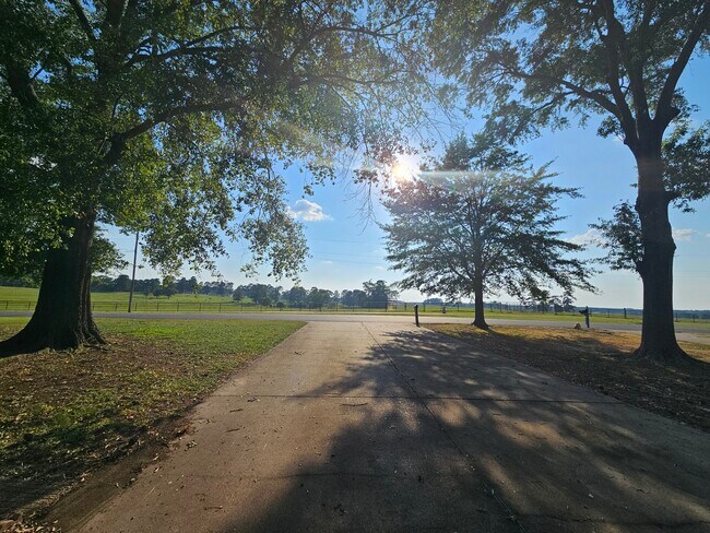 Photo - Muleride Manor