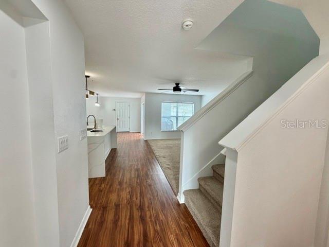 12621 Tanja King Blvd