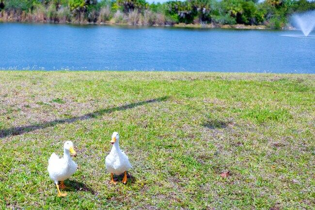 Photo - Island Vista Estates