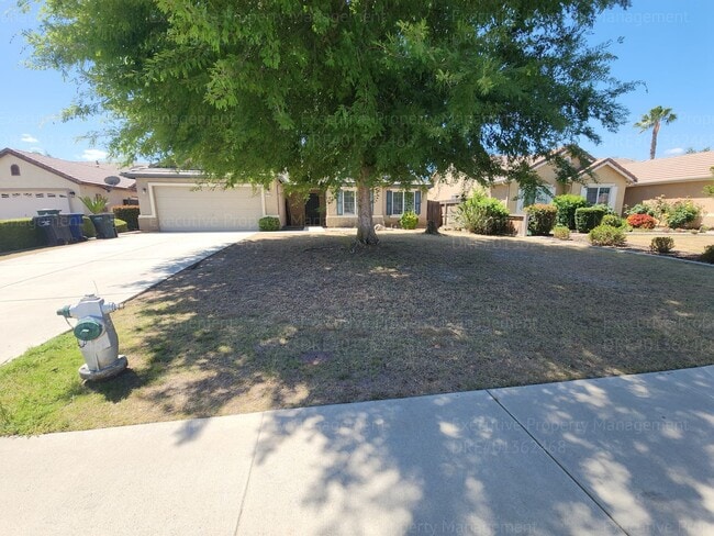 5 bedrooms/ 2 baths Location Olive Dr/ Old... - 5 bedrooms/ 2 baths Location Olive Dr/ Old... Casa