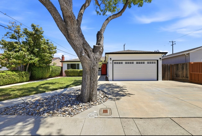 Photo - Dual-Master 3 Bed. 3 Bath Home in the Heart of Santa Clara.
