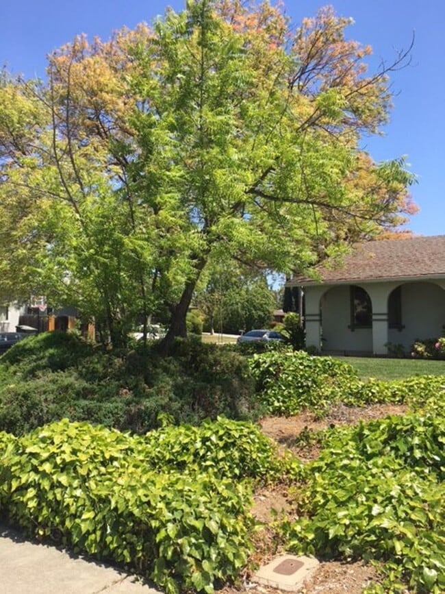 Photo - Single Family Home 3 Bedroom 2 Bath Corner Lot