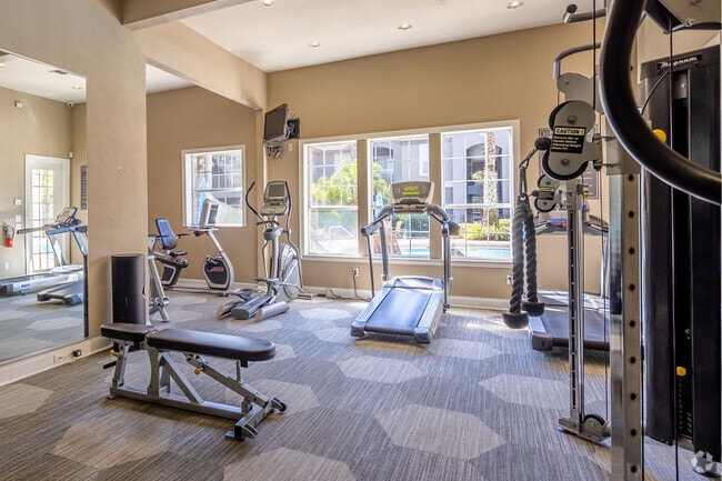 2400 Clubside Ct Palm Harbor, FL