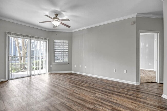 Village Walk general photo - Village Walk