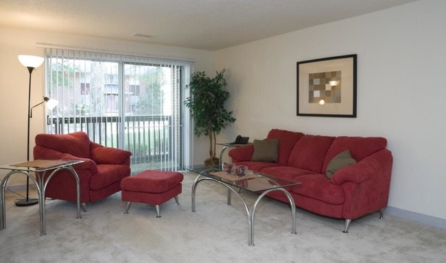 Spacious Living Rooms to Accommodate Any Furniture
