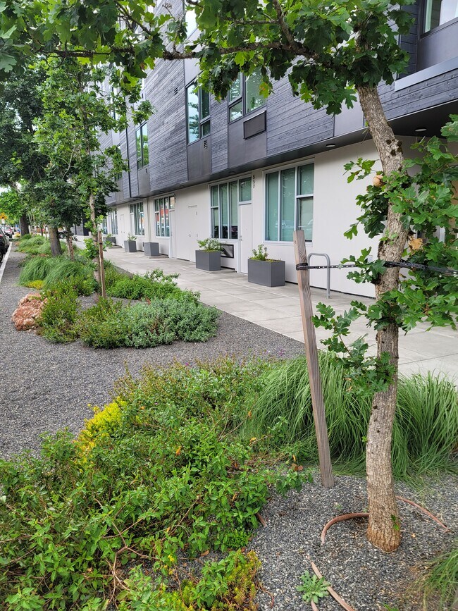 Photo - 505 Dekum Apartments