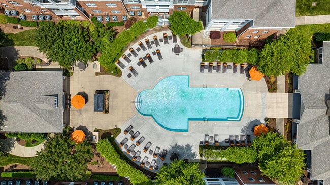 Apartamentos Windsor At Tryon Village — foto de la comunidad