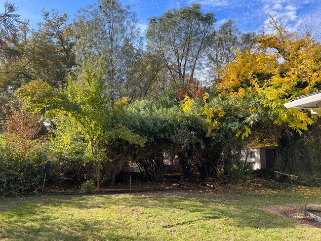 Photo - 9866 Hillview Dr