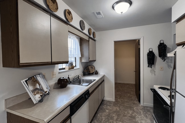 Kitchen Cabinets and a Dishwasher