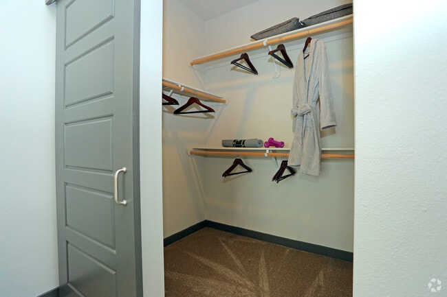 1BR - Walk-In Closet - Terra at University North Park