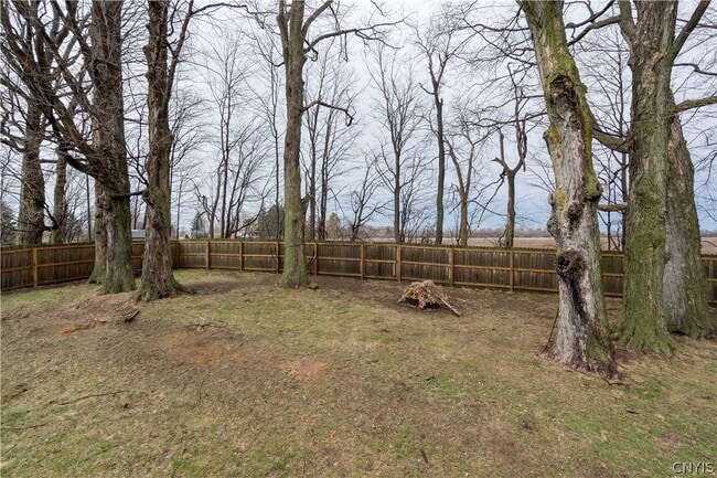 Photo - 117 MillCreek Ln