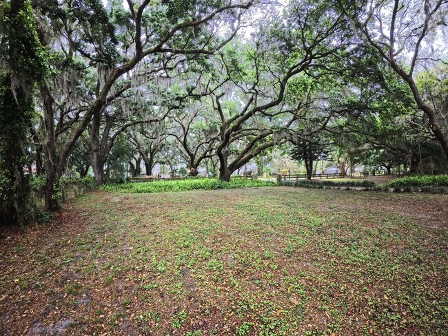 Photo - Rural Living in the heart of Lake Nona