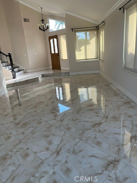 Photo - 9 Sarracenia