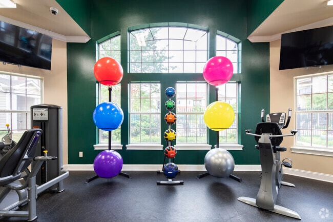 Fitness