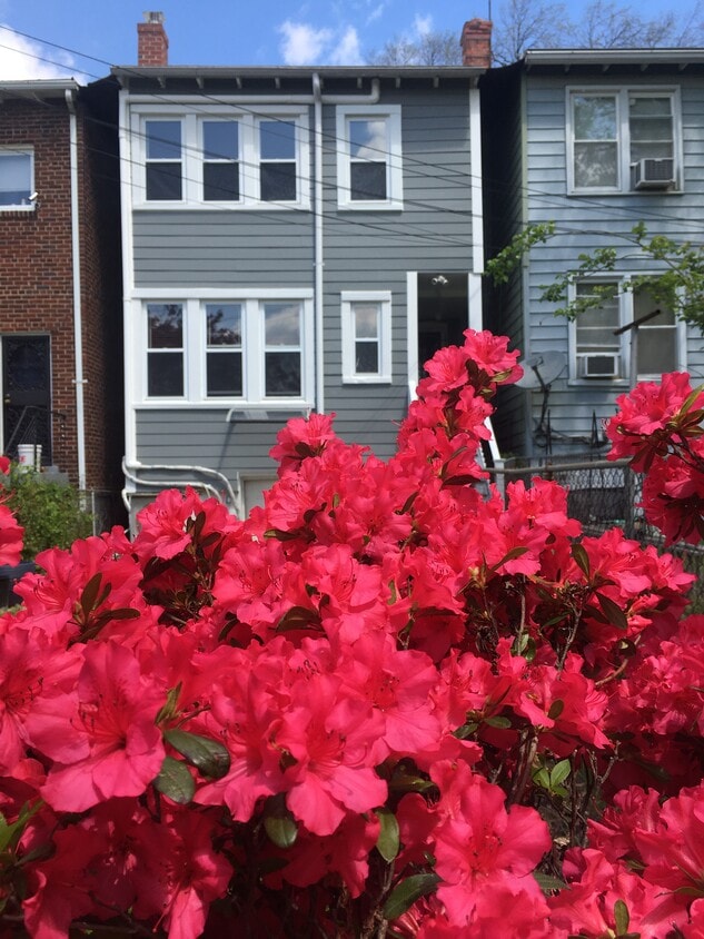 Photo - 524 Decatur St NW (Washington, DC)