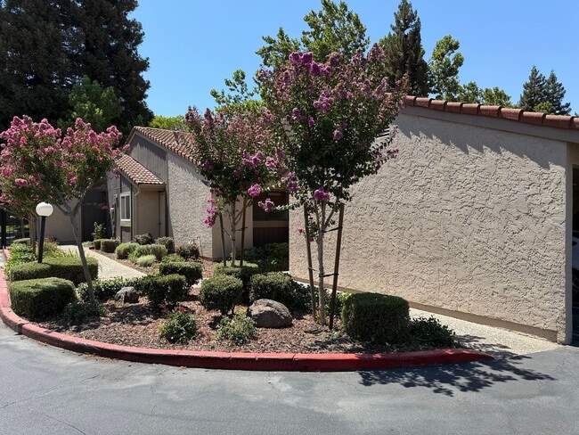 Building Photo - 2-bedroom condo near shopping, restaurants... Unit D