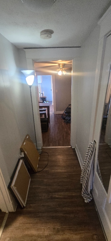 Photo - 42 Storer St Unidad 2