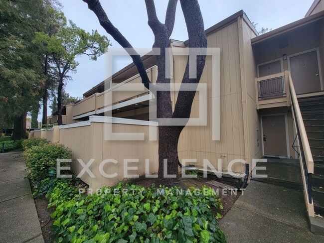 2/1 With Private Patio, AC, Updated Kitche... - 2/1 With Private Patio, AC, Updated Kitche... Condo