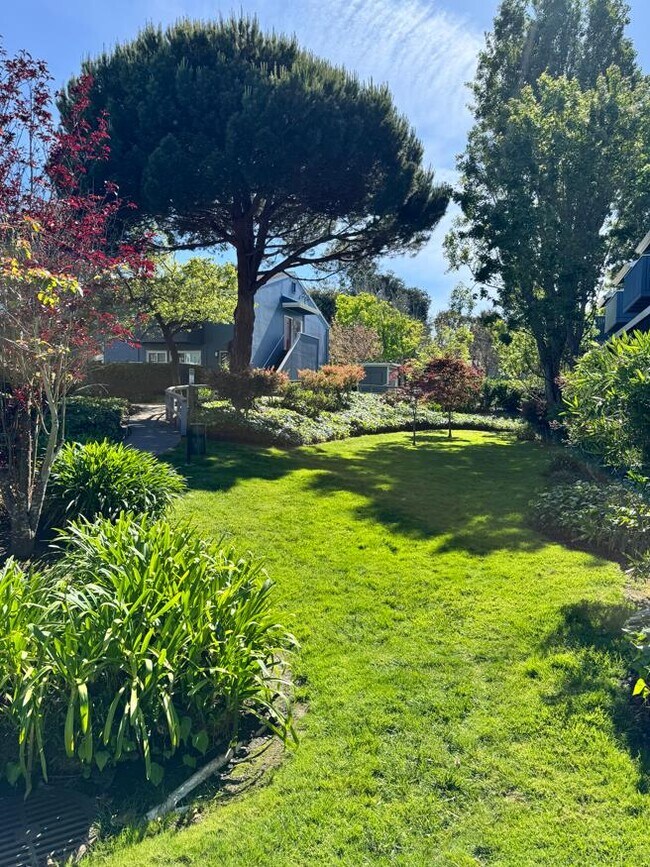 Photo - 1126 Cherry Ave