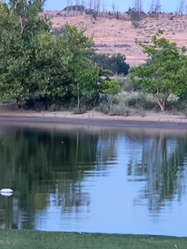 Photo - 710 Catskill St