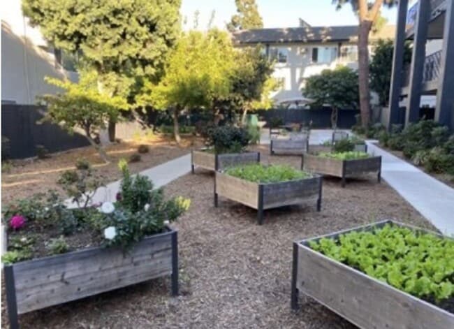 Photo - Miracle Terrace