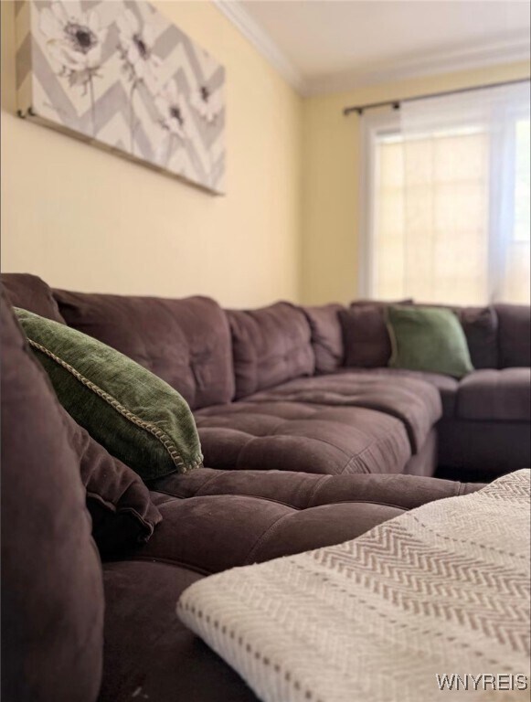 Photo - 30 Manlon Terrace