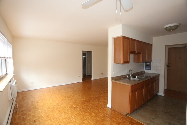 Photo - 503 W Briar Pl Unit 702
