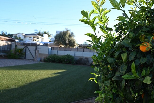 Photo - Beautiful Home with Gorgeous Views