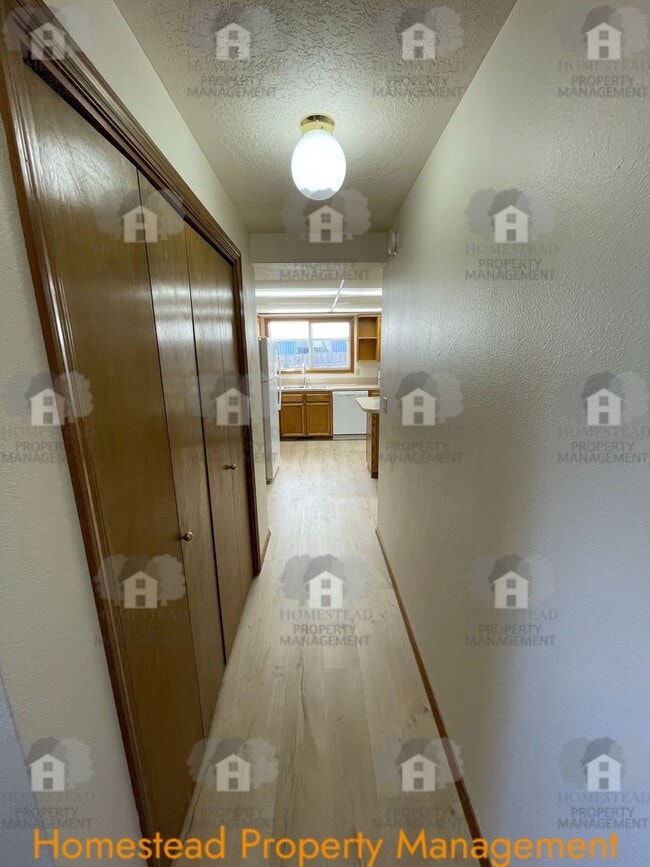 Photo - South Salem Cutie!