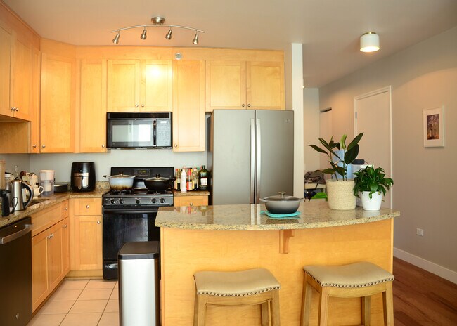 33 W Ontario St Unit 31E