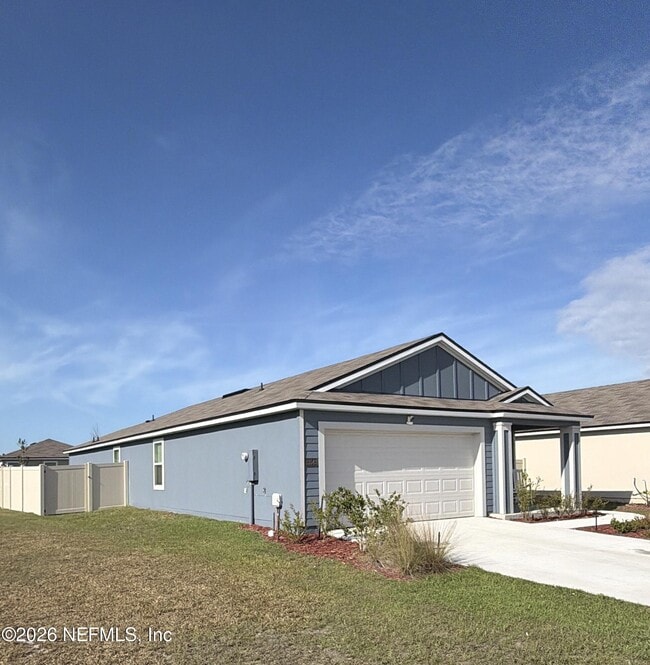 Photo - 12543 Rubber Fig Ter