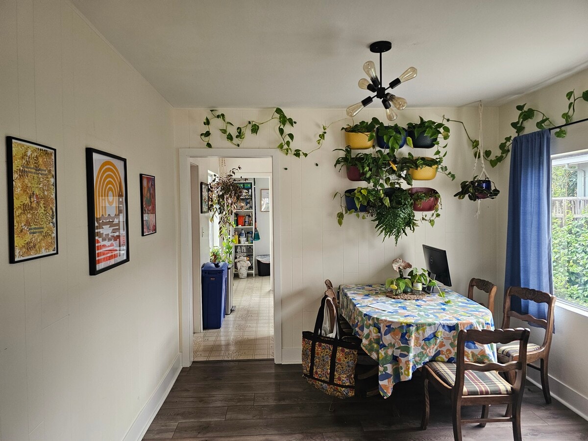 Photo - 239 McEvoy St