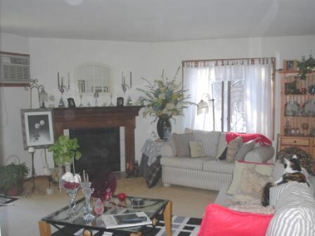 Photo - Branch Creek