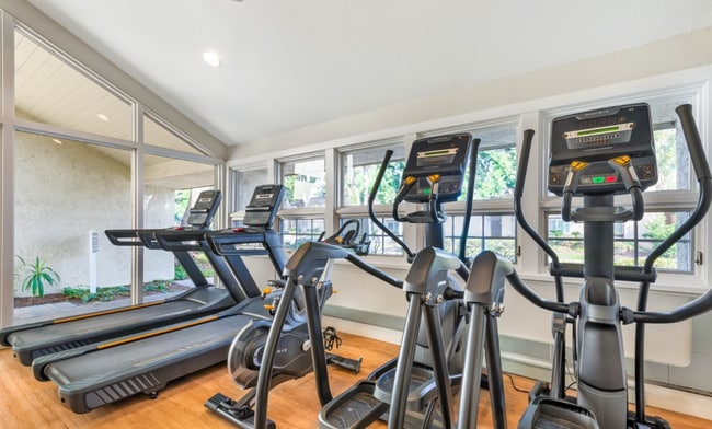 Fitness center with cardio equipment