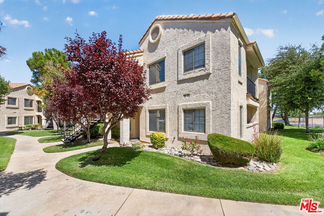 2554 Olive Dr