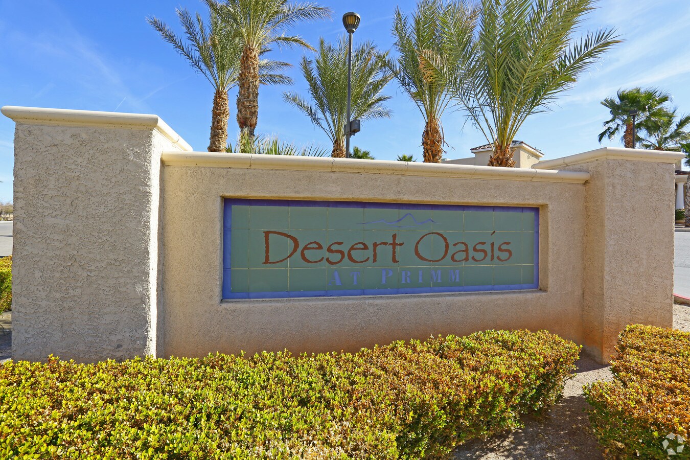 Photo - Desert Oasis