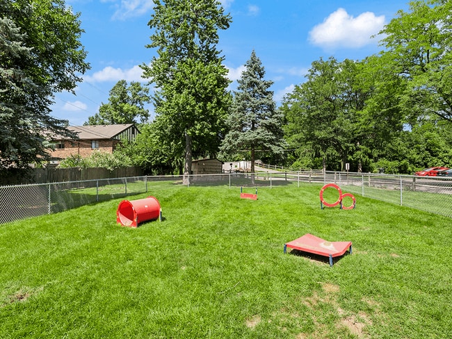 Enclosed Dog Park