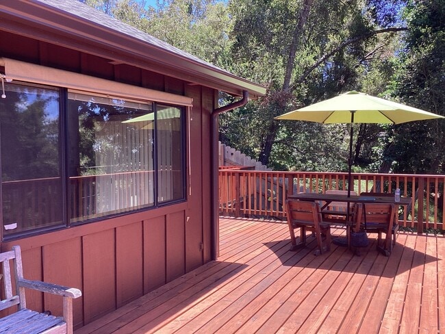 Photo - Sunny Redwoods