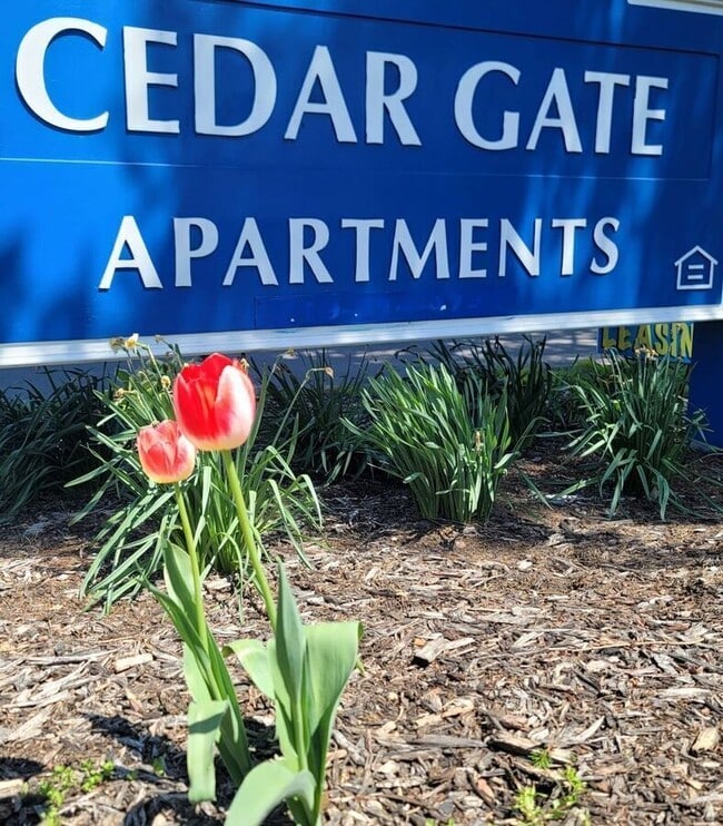 Building Photo - 771 Cedar Gate Ct Unit 771