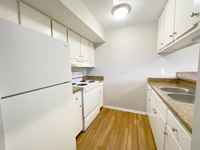 Photo - Forest Street Apartments