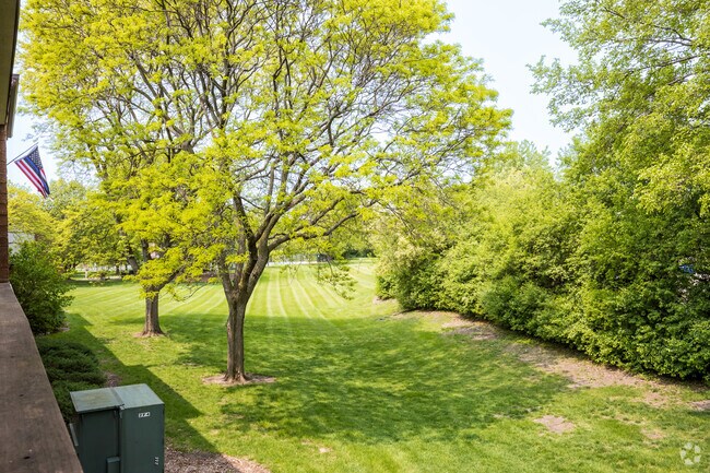 1BR, 1BA - View
