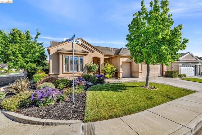 Building Photo - 1550 Margil Way