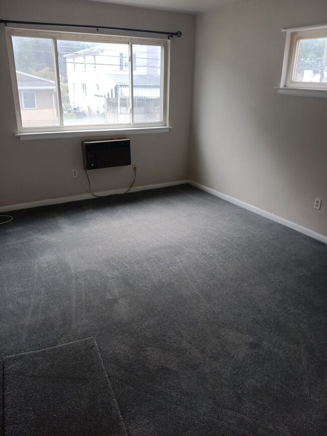 823 Chestnut St Unit 1st floor