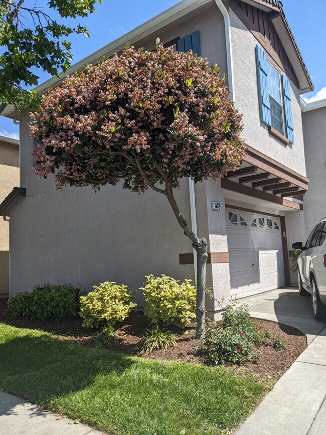 Photo - 1582 Sawgrass Dr