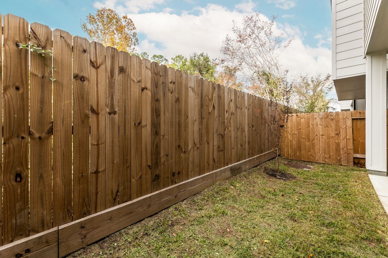 Photo - 5725 White Magnolia St.