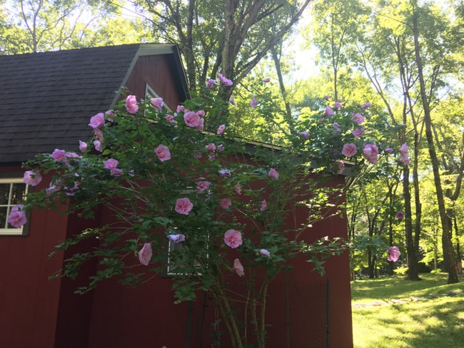 Photo - 300 Chestnut Hill Rd