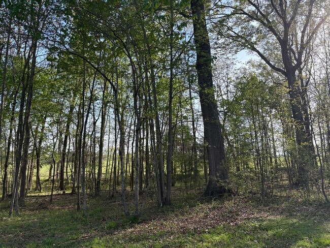 Photo - 17870 Broad Meadow Dr