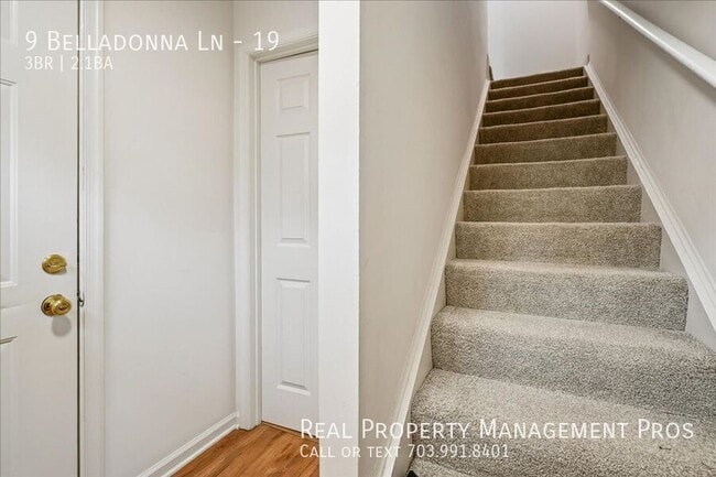 Photo - 9 Belladonna Ln